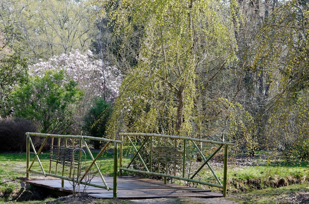 La Demeure D'Aglae Bed & Breakfast Villeneuve-sur-Allier Ngoại thất bức ảnh