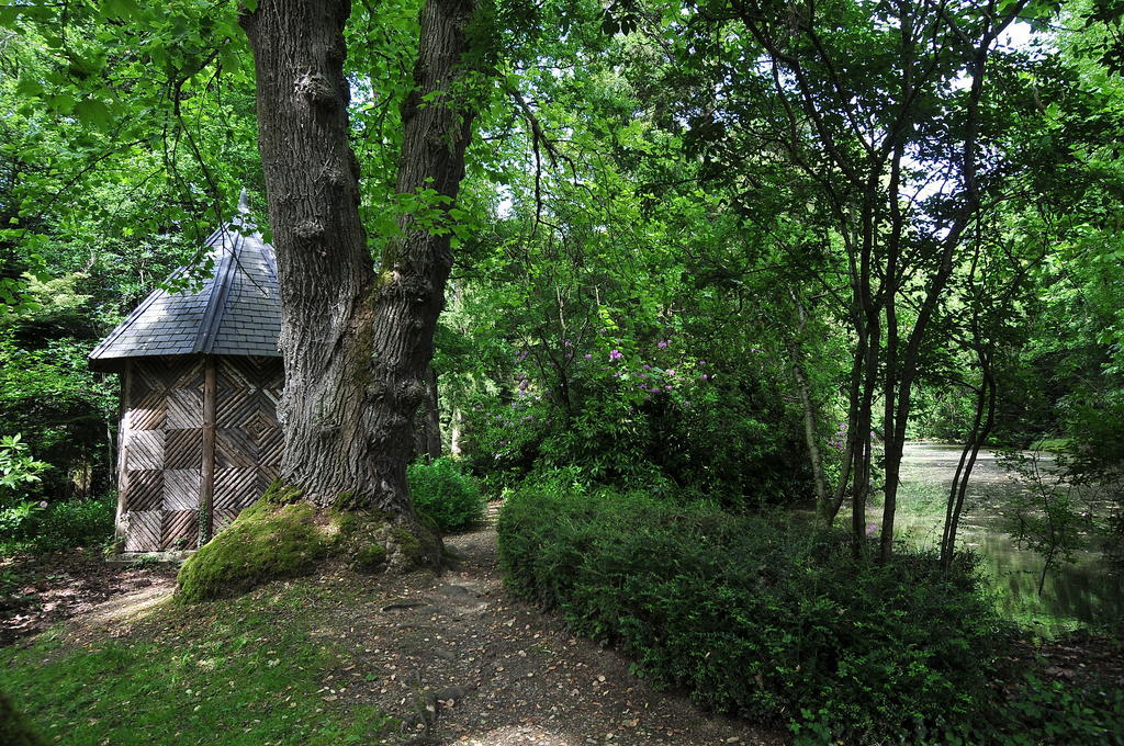 La Demeure D'Aglae Bed & Breakfast Villeneuve-sur-Allier Ngoại thất bức ảnh